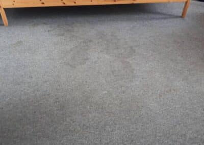 Pranie wykładziny Warszawa Indygo